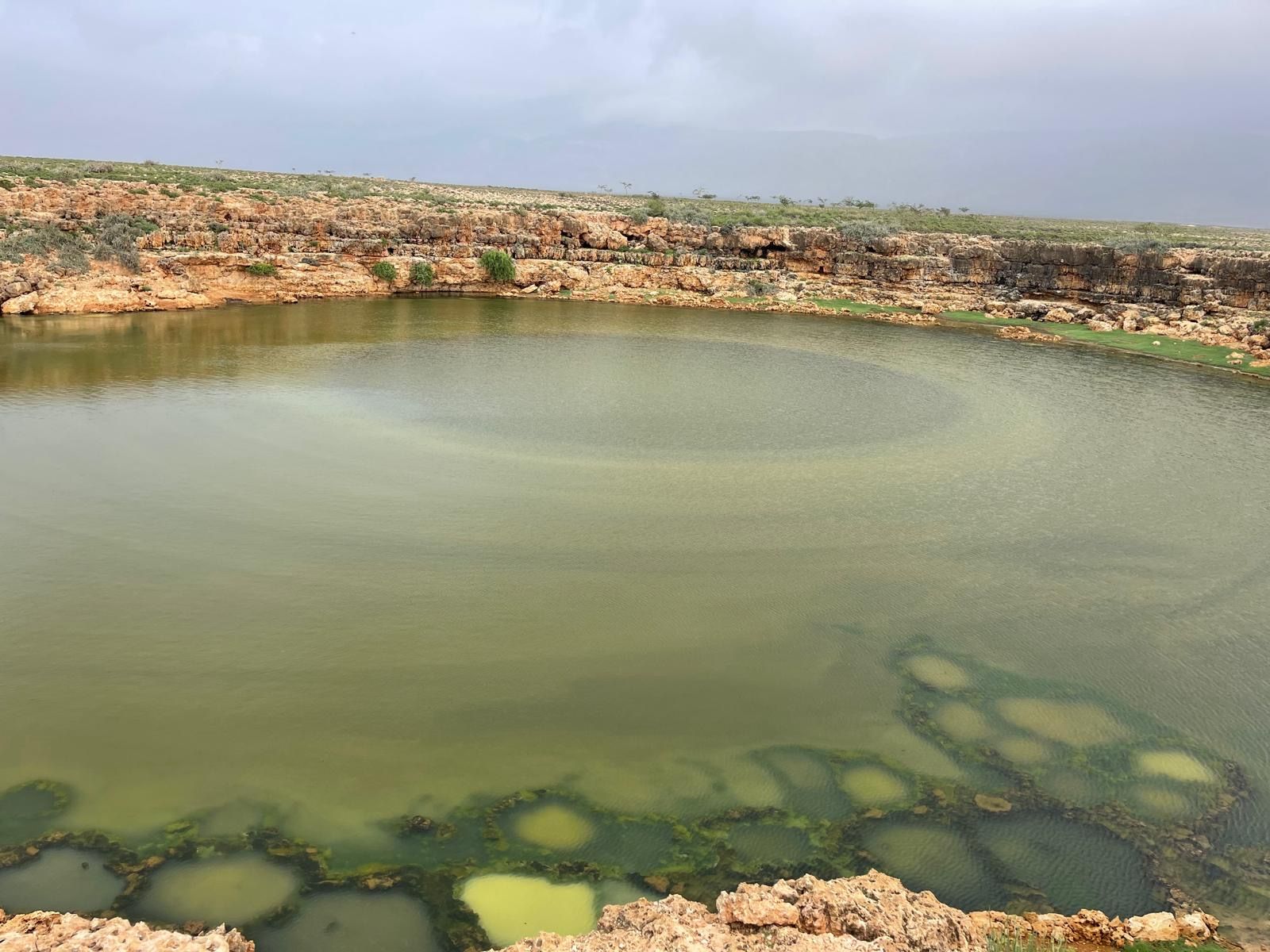 A large green natural pool set into a shelf of limestone